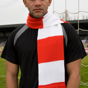 Team Scarf