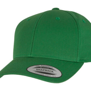 Curved Classic Snapback
