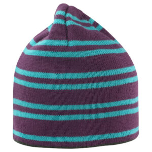 Team Reversible Beanie