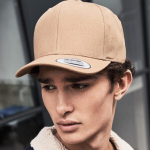 6-Panel Curved Metal Snap