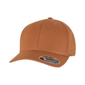 Flexfit 110 Curved Snapback